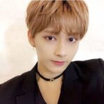 SEVENTEEN(セブチ)ジュンは整形?彼女は?新田真剣佑に似てる!