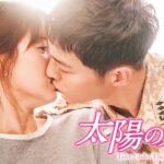太陽の末裔Love Under The Sun全話24話をPandora/9tsu動画より安全に無料視聴する方法!