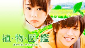 植物図鑑Dailymotion,9tsu動画は違法サイト|サブスクはどこで見れる?