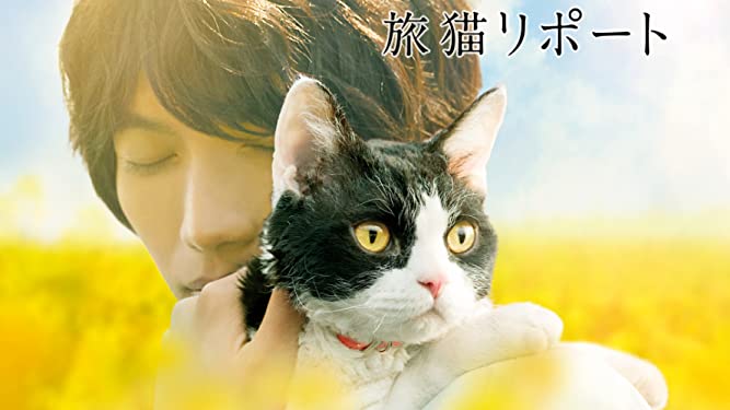 旅猫リポートの無料動画を9tsu,bilibiliで見る危険性と安全にフル視聴する方法