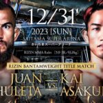 RIZIN.45(年末大晦日)の違法視聴は危険！ABEMAとU-NEXTはどっちが得？