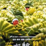 菊次郎の夏 9tsu,Dailymotion,Pandora無料動画は違法サイト！配信はどこで見れる？